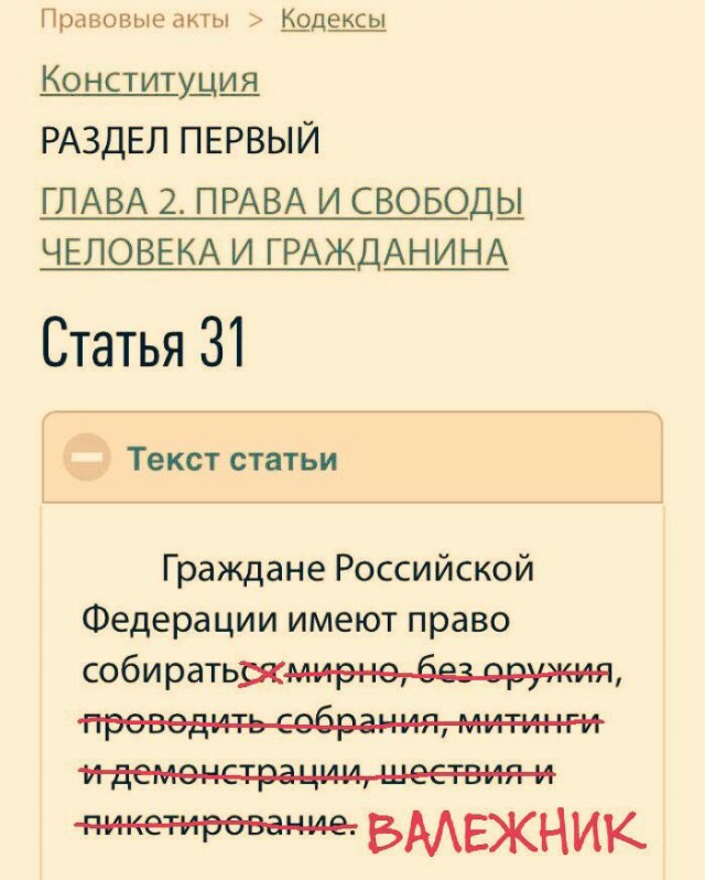 11660288