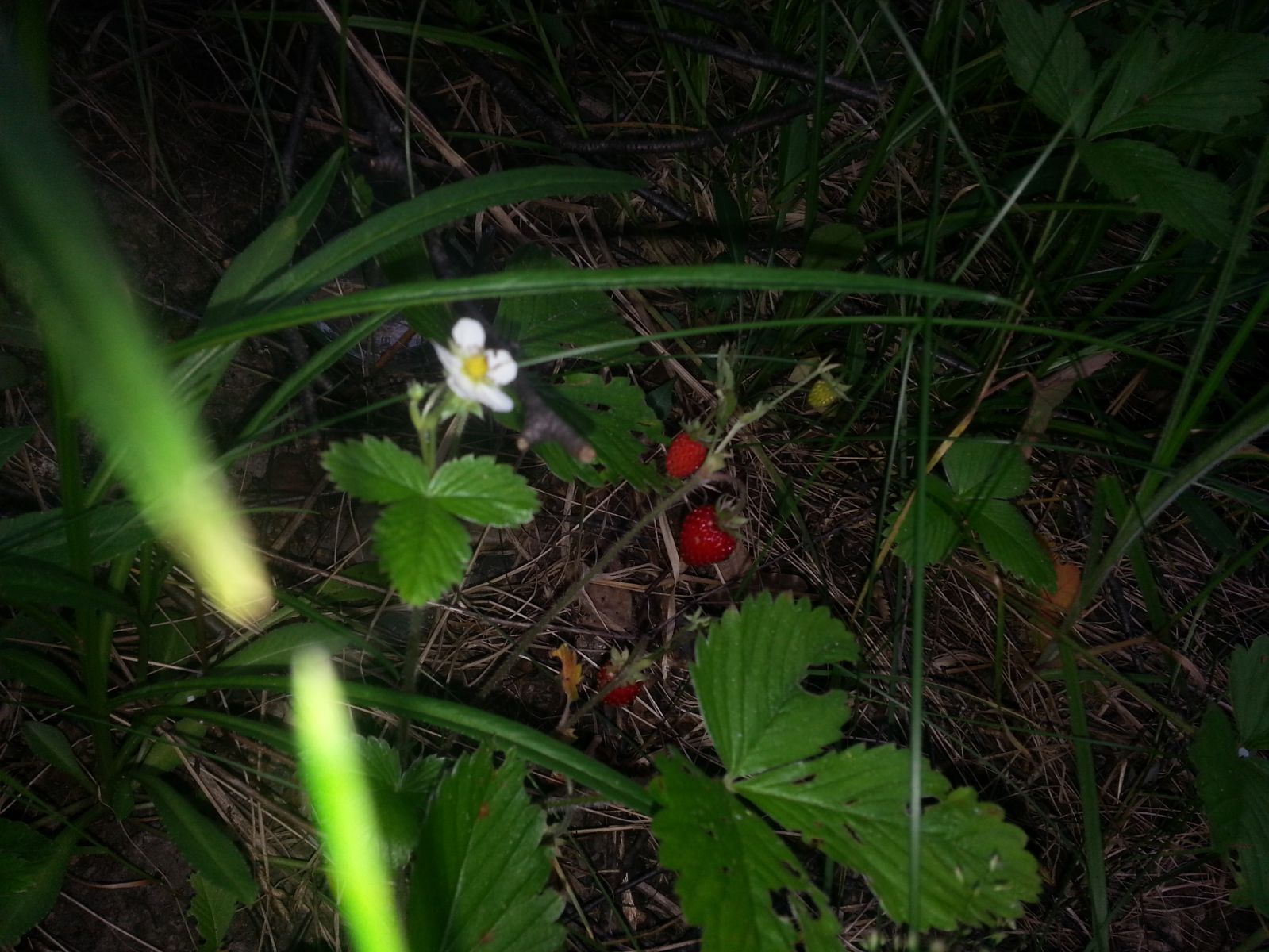 20130622 185804