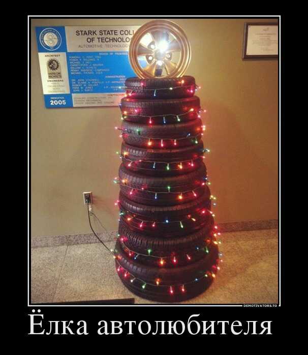 65911982 yolka avtolyubitelya