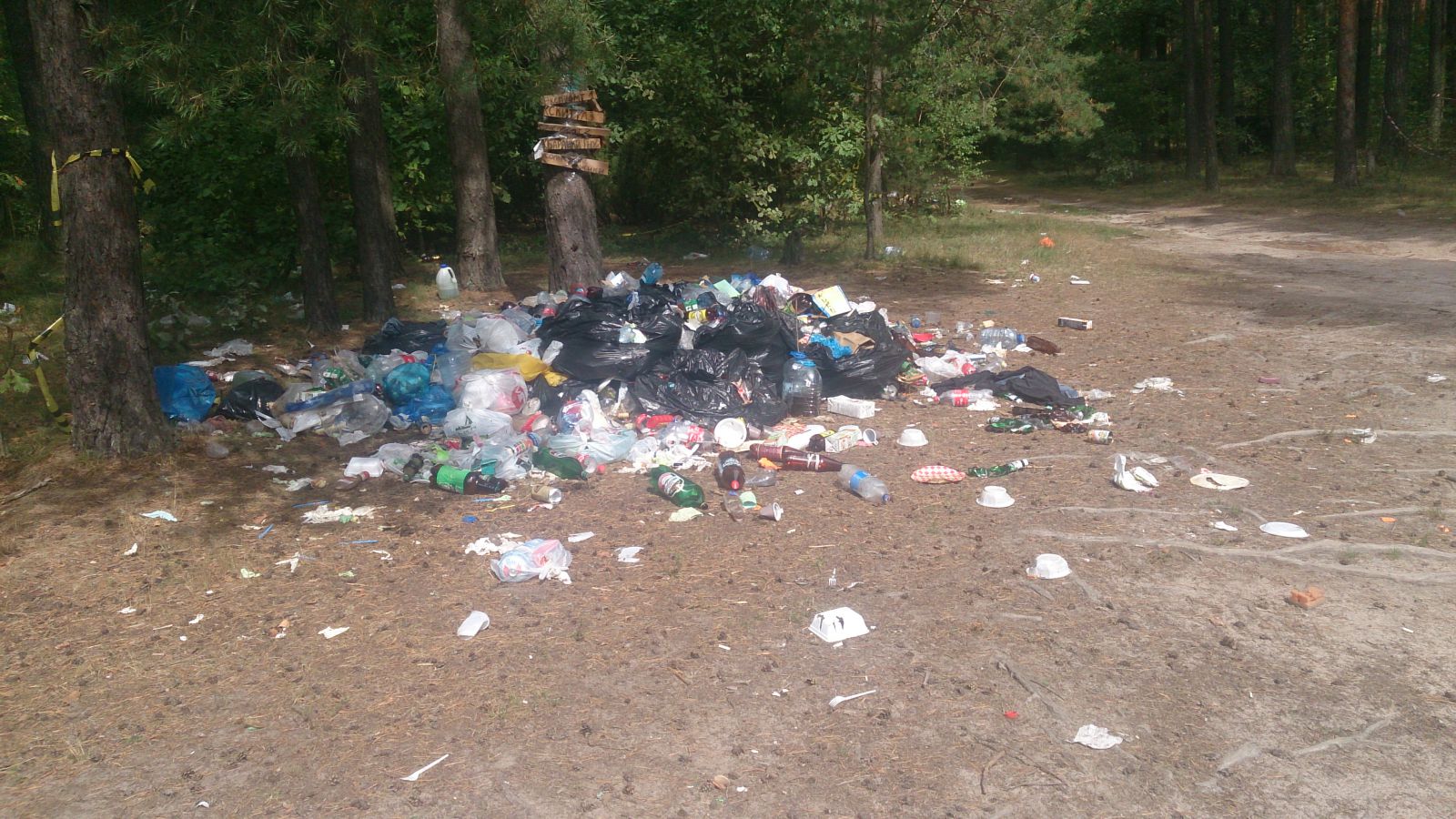Анциферово 08 014 0196