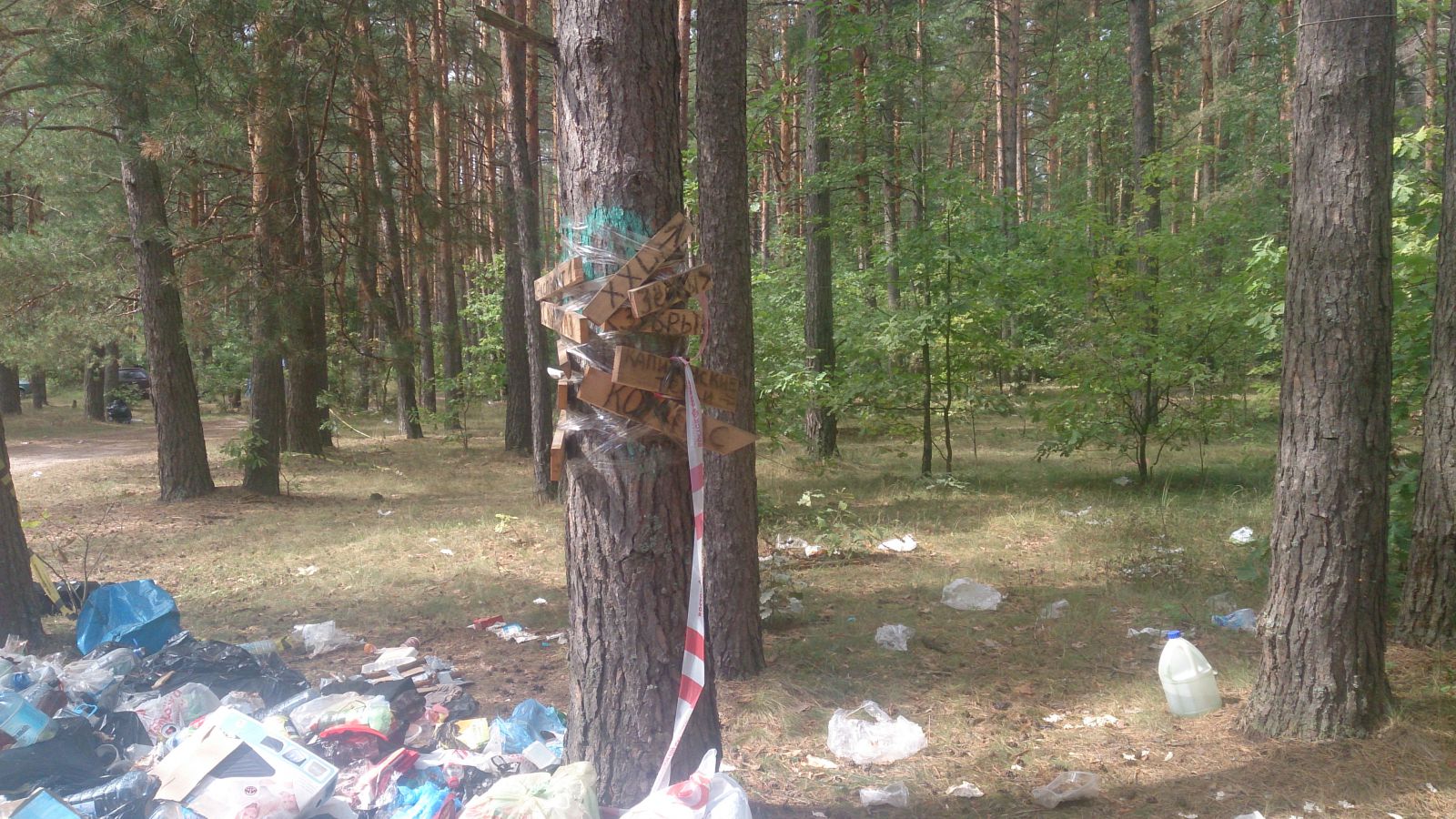 Анциферово 08 014 0197