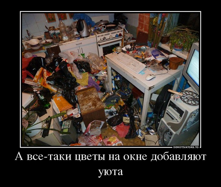 Цветы на окне создают уют!
