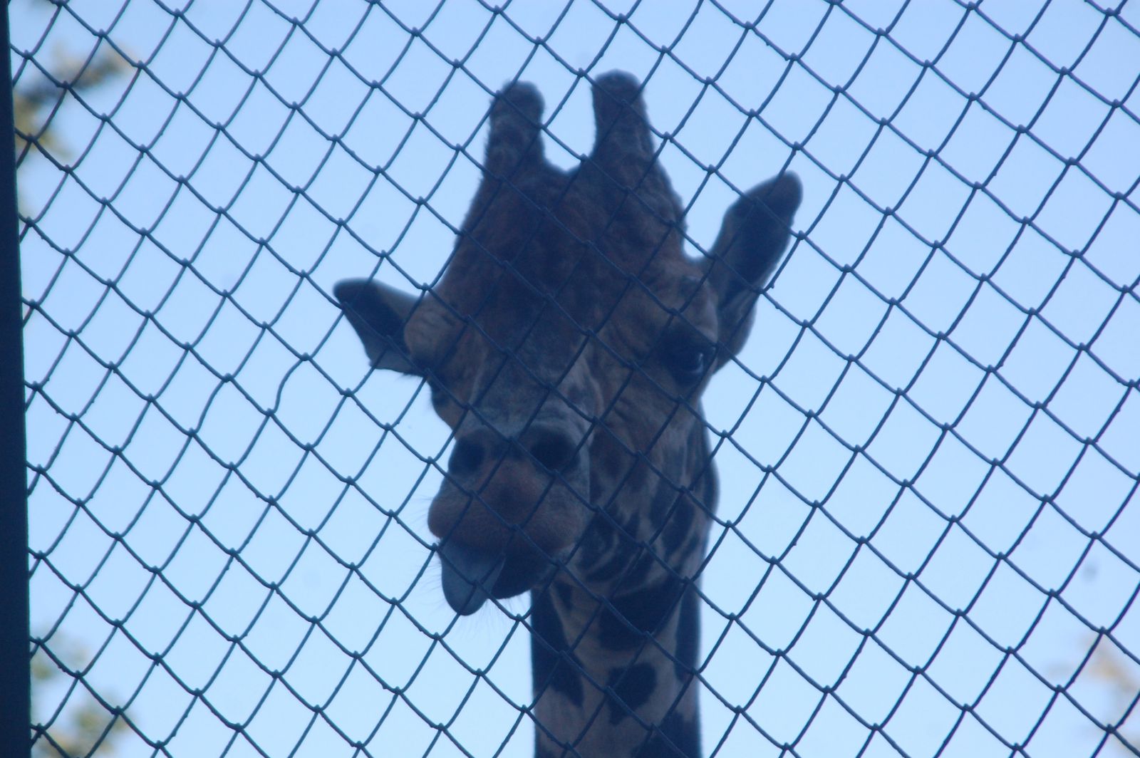 DSC 4304