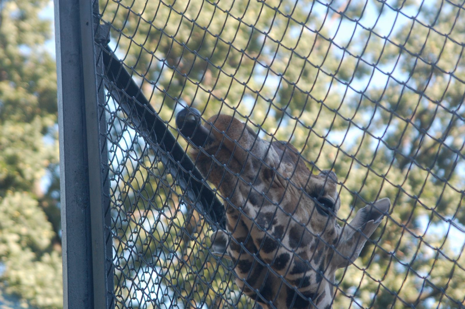 DSC 4308