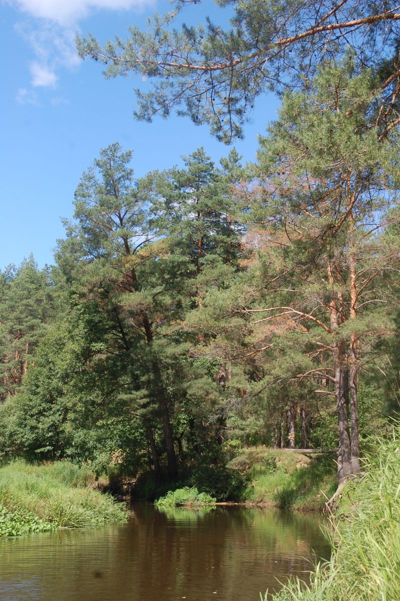 DSC 8053