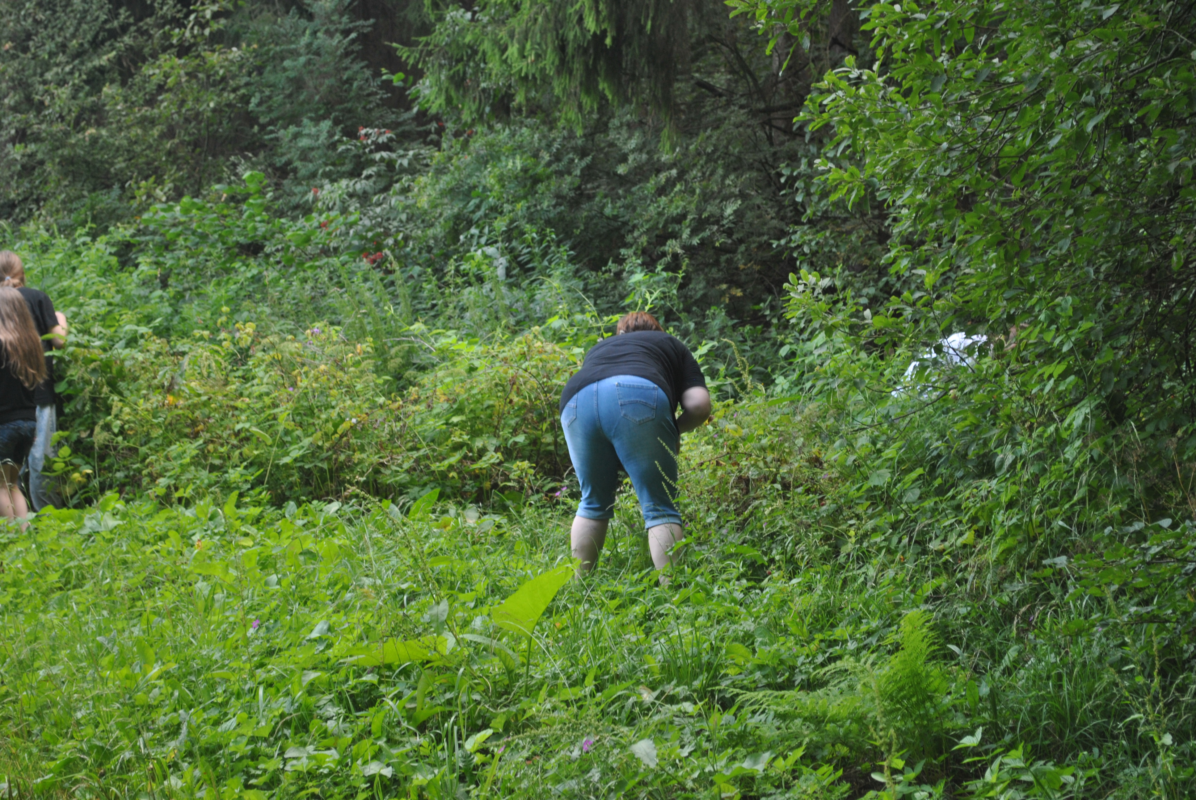 DSC_0141.JPG