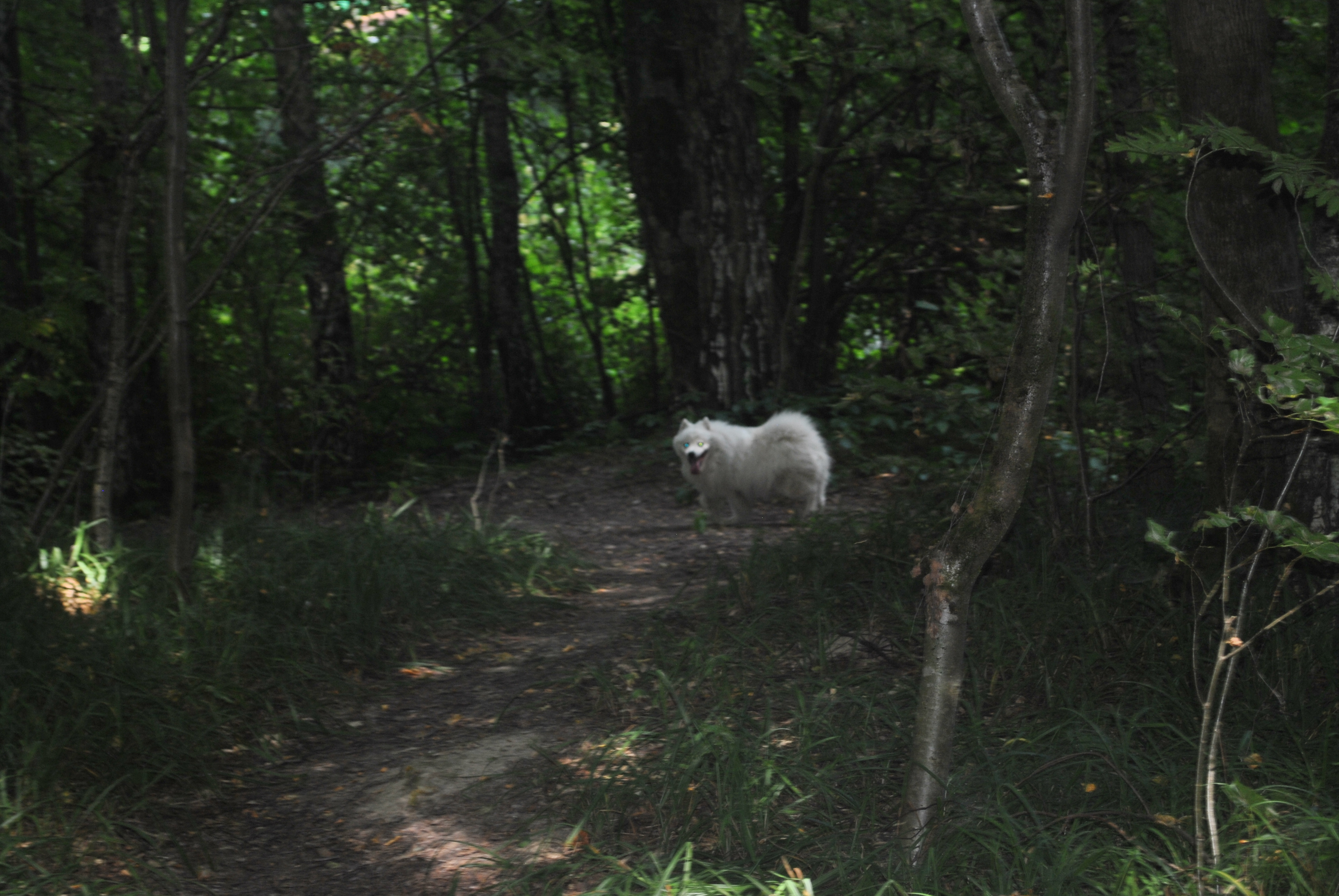 DSC_0149.JPG