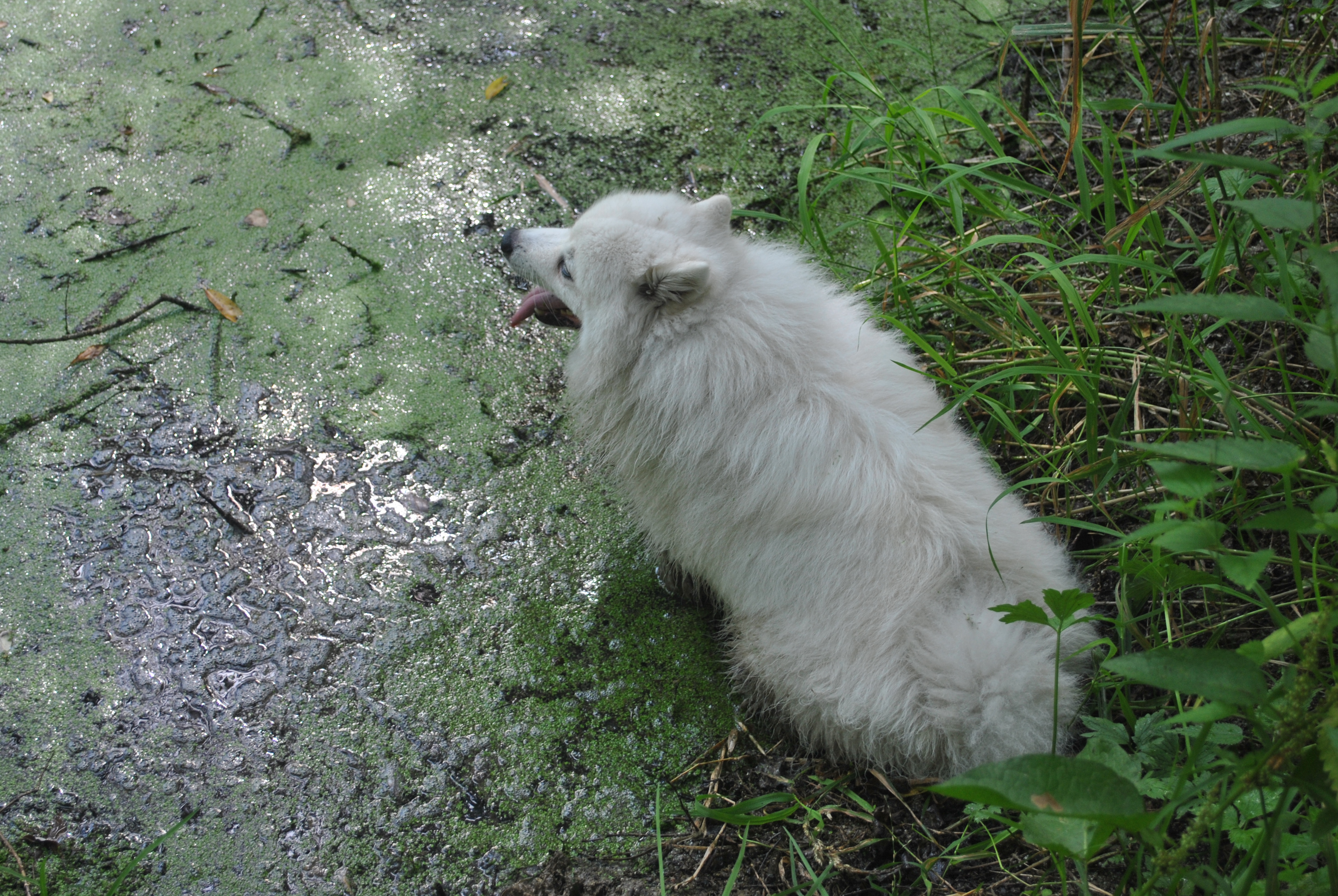 DSC_0159.JPG