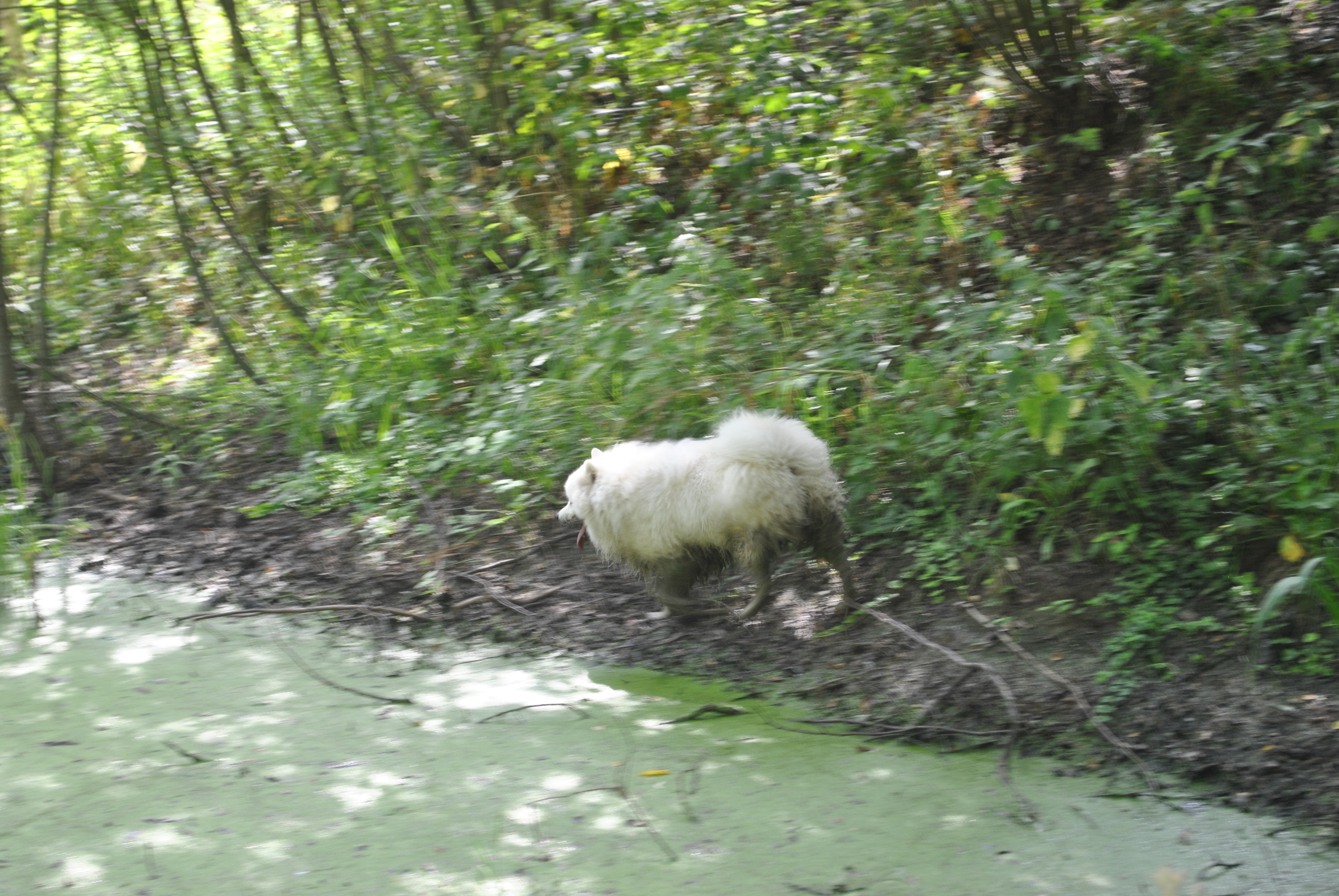 DSC_0160.JPG