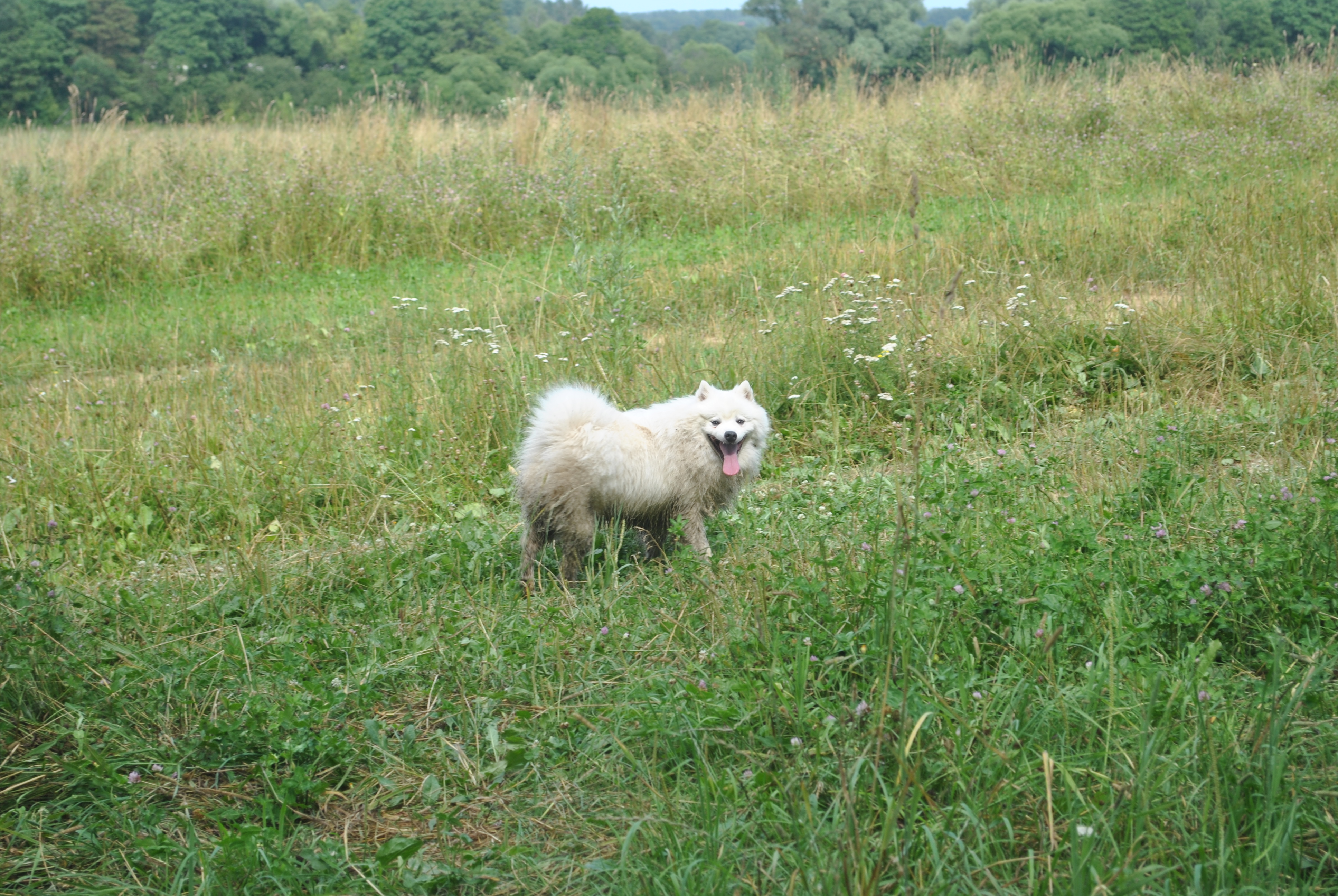 DSC_0162.JPG