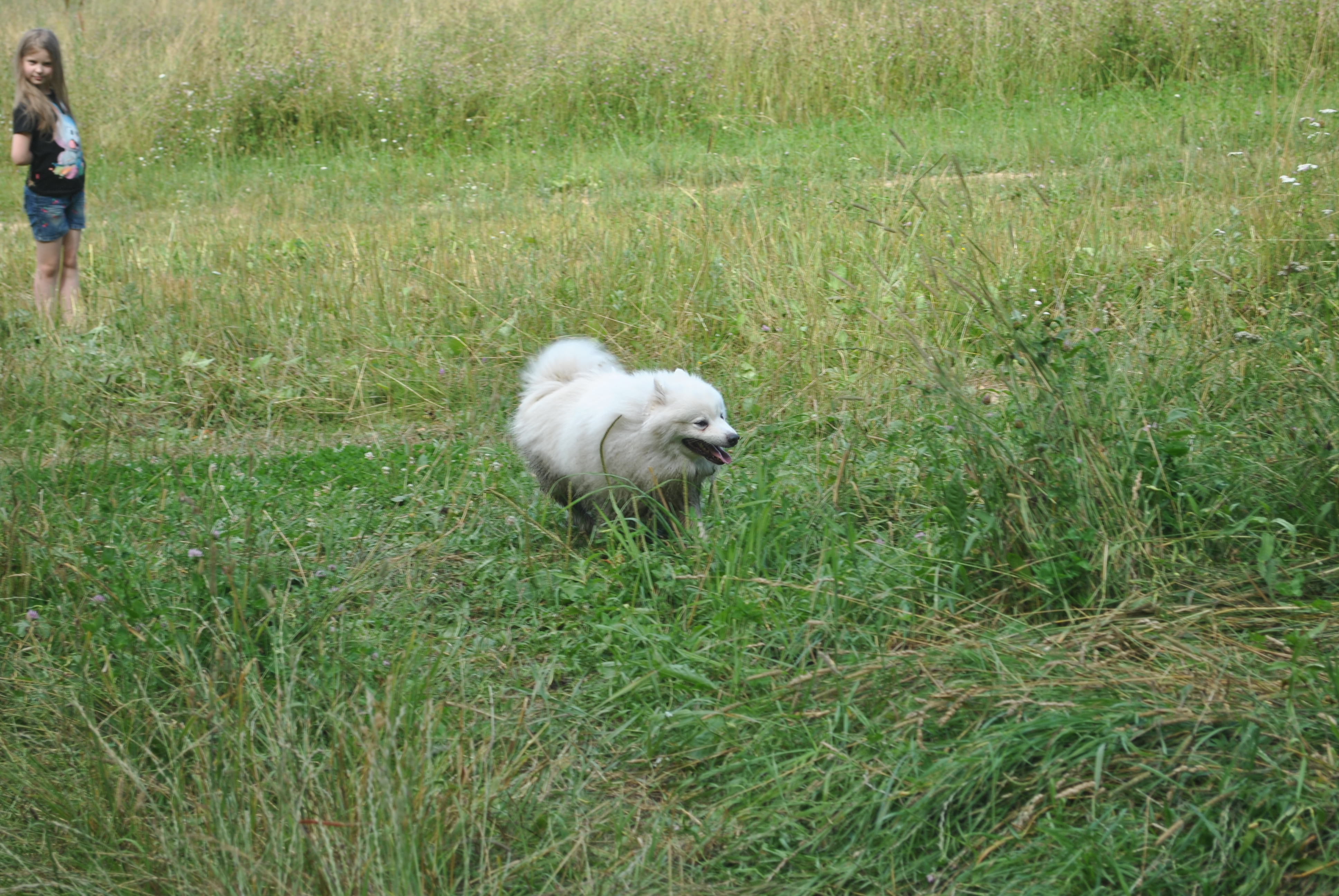 DSC_0164.JPG
