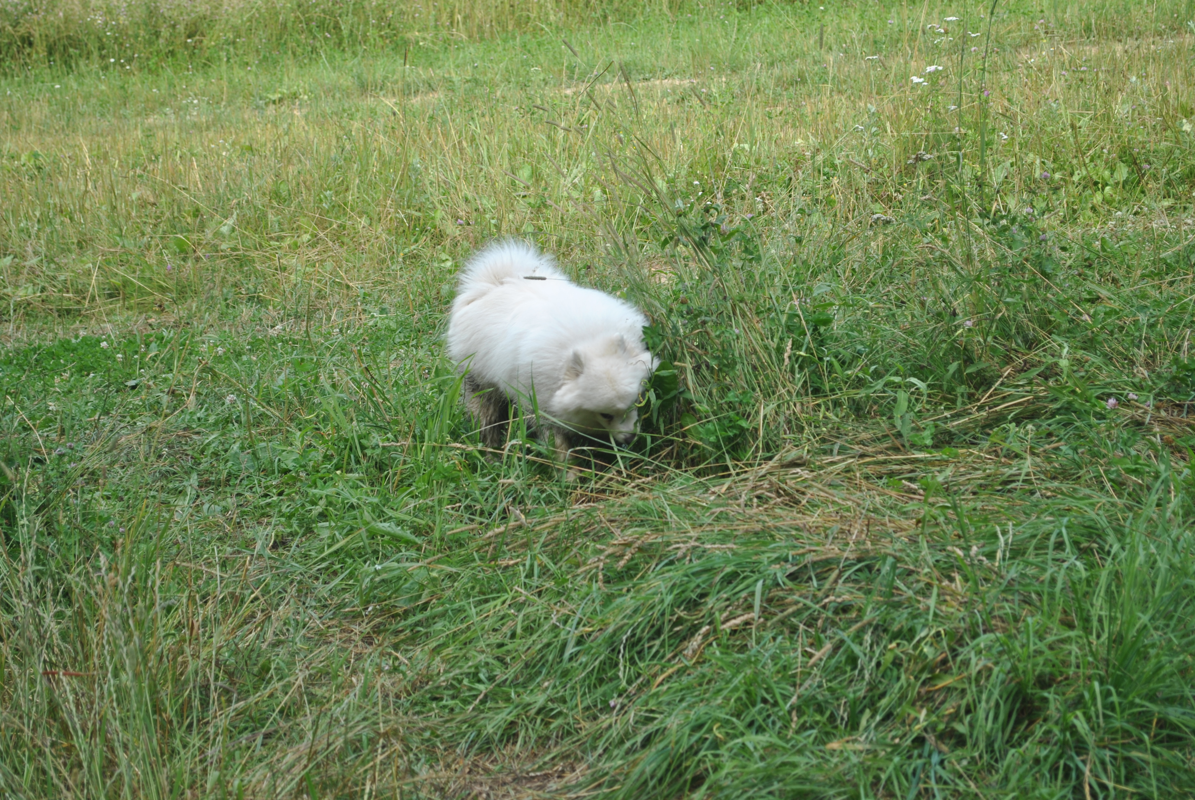 DSC_0165.JPG