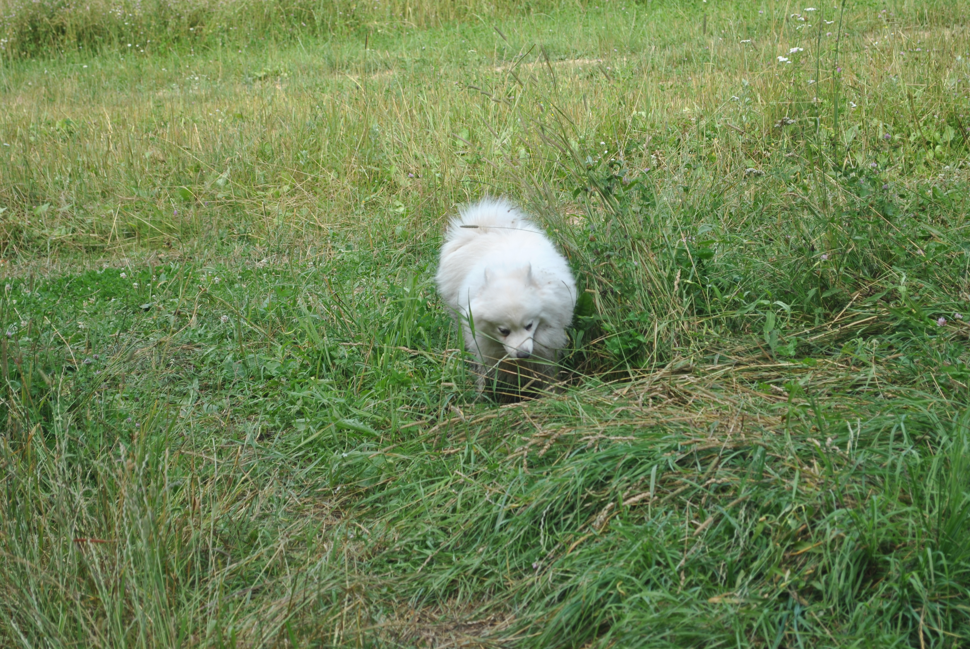 DSC_0166.JPG