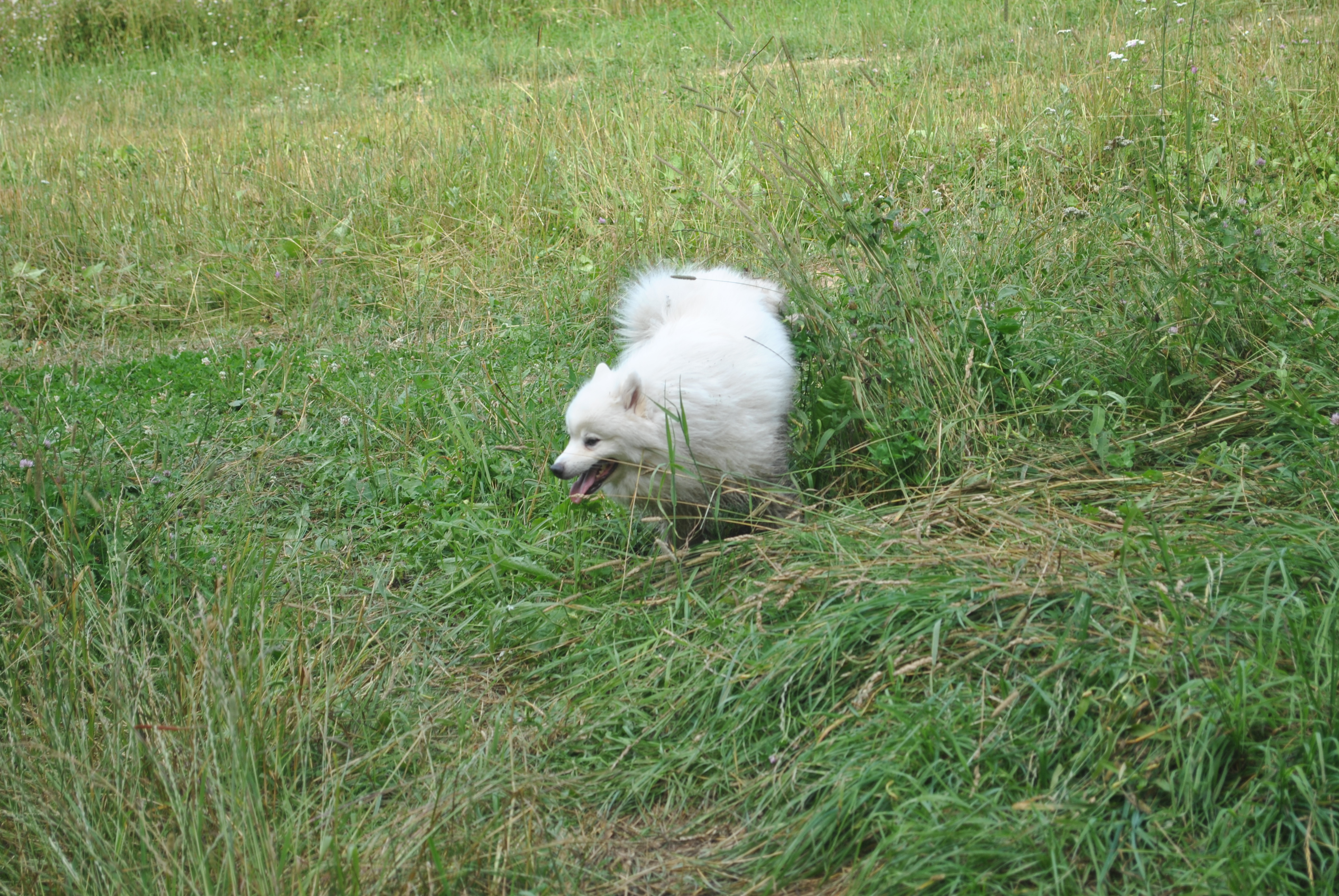 DSC_0167.JPG