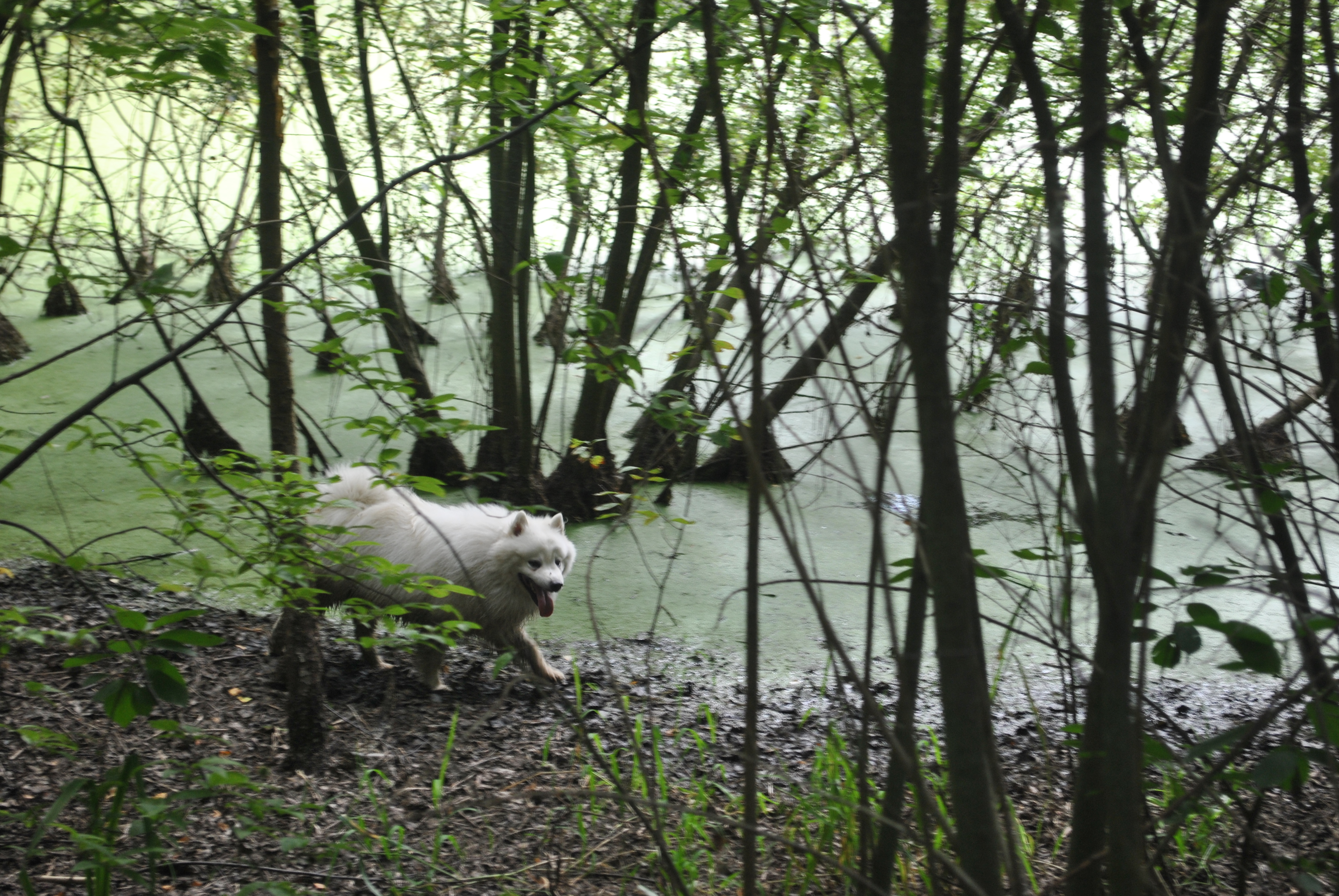 DSC_0168.JPG