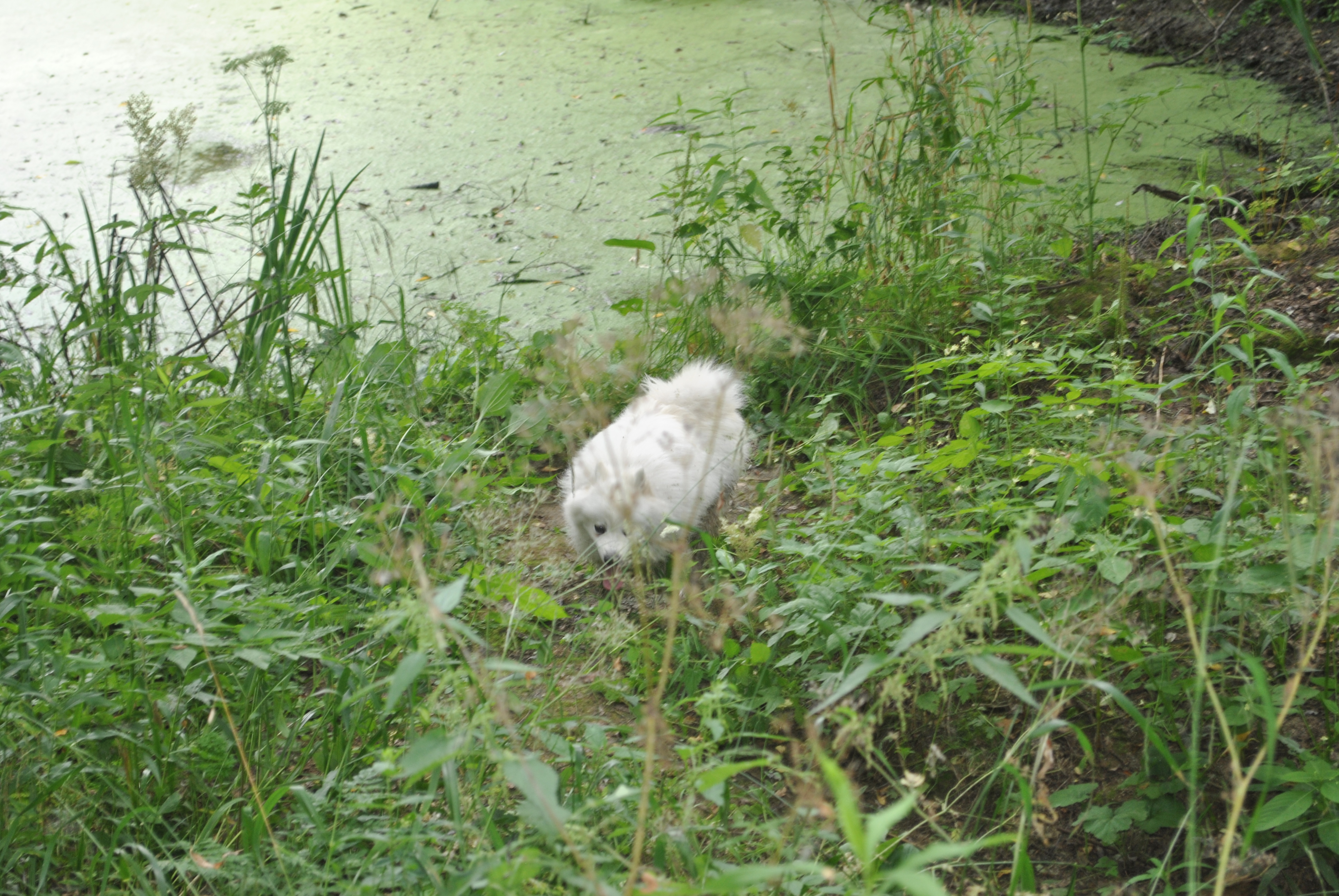 DSC_0171.JPG