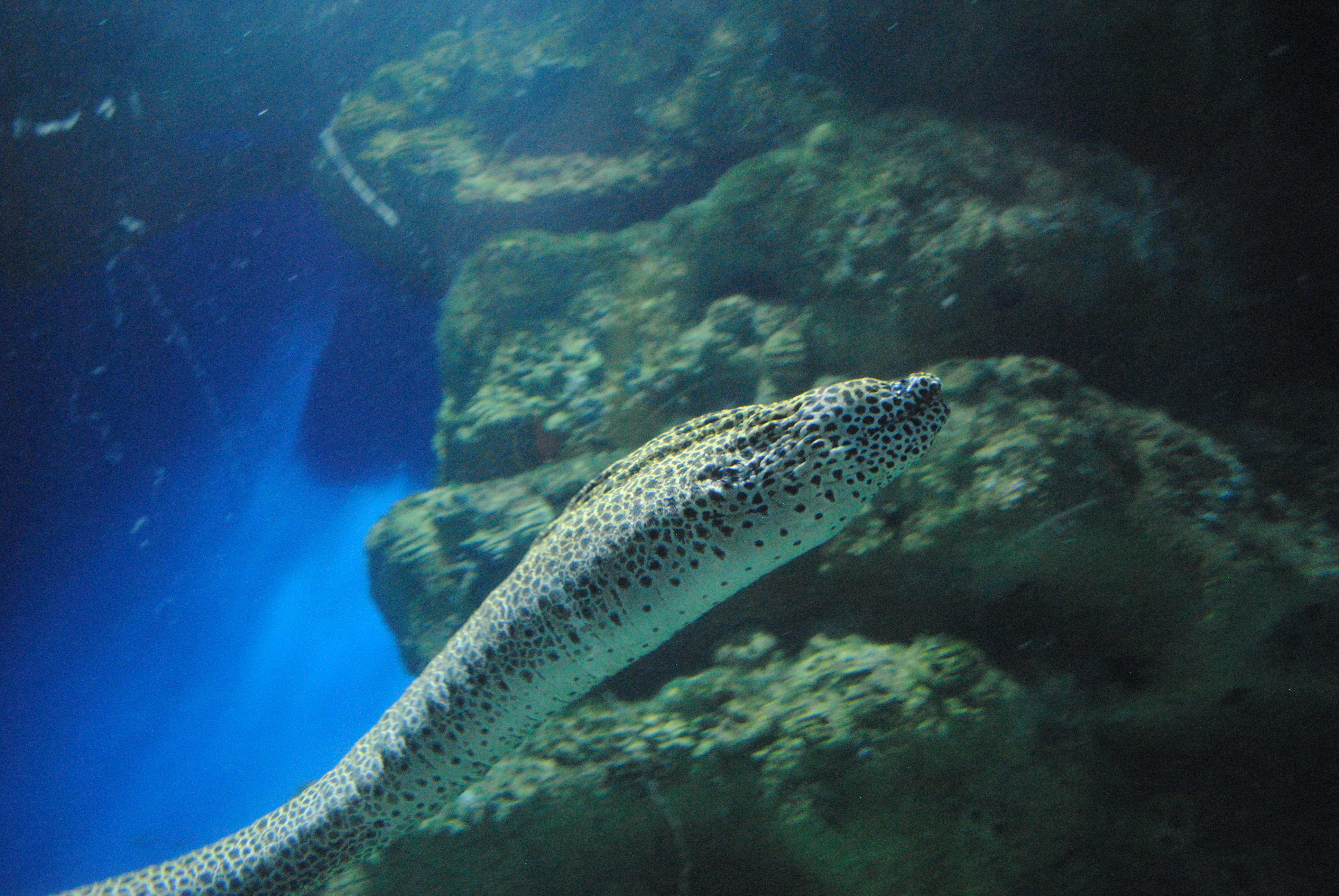 DSC_0551.JPG