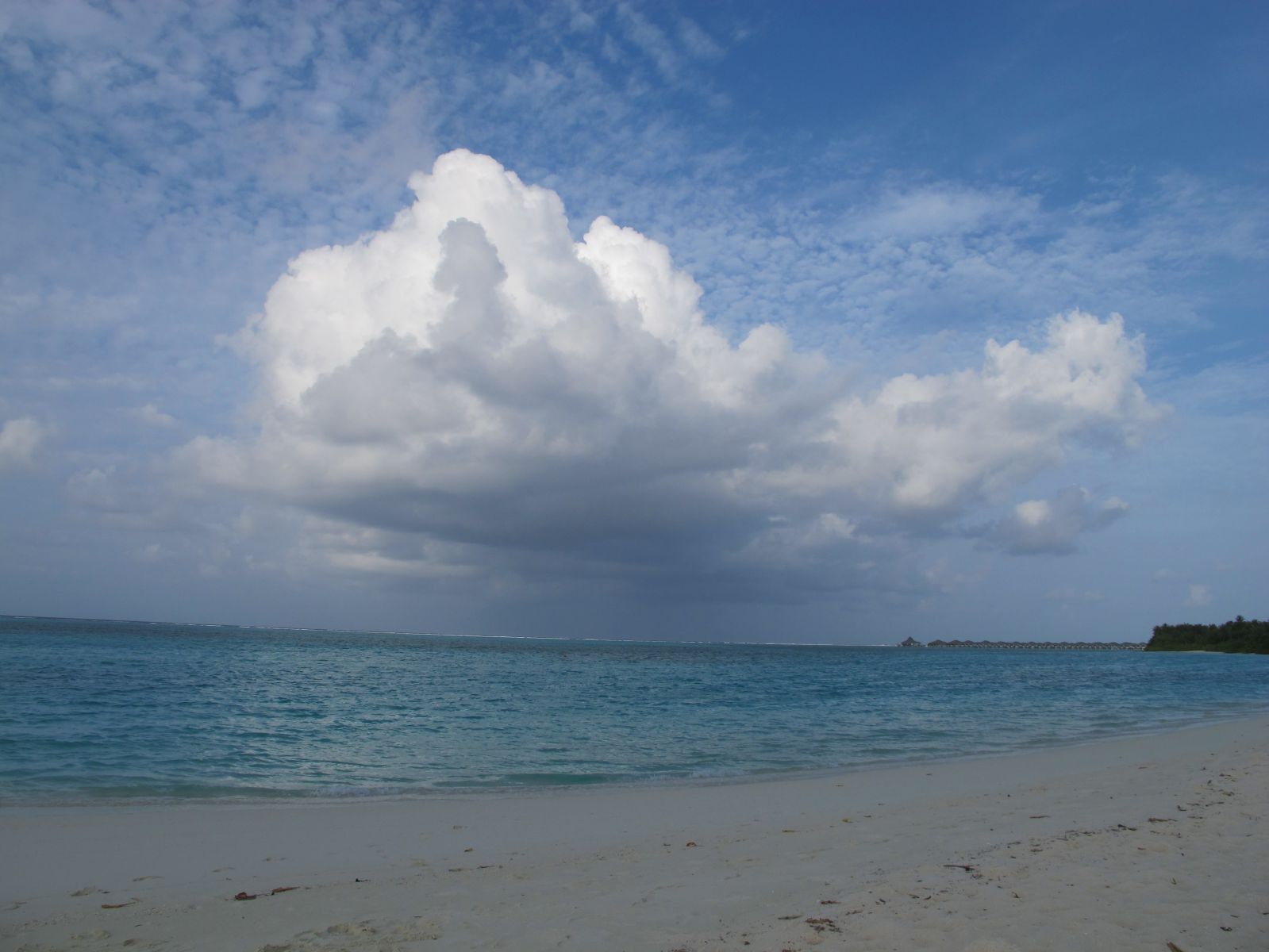 IMG 0785