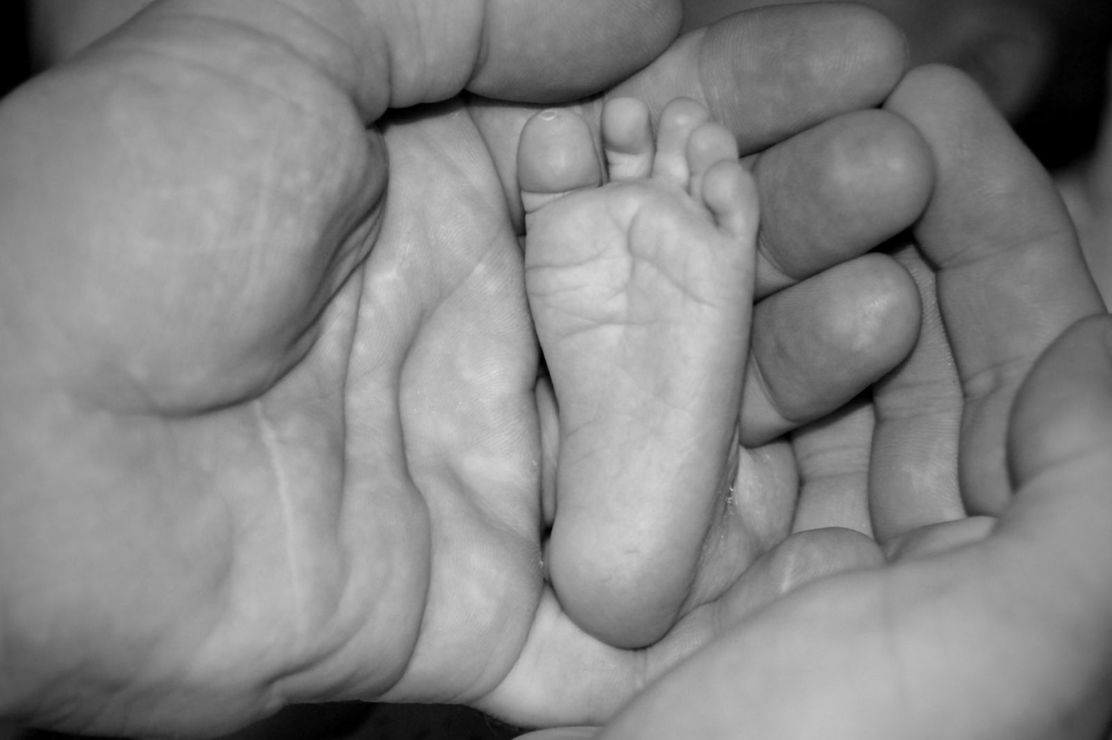 IMG 8512