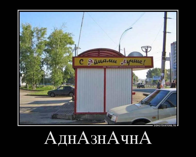 яйцы