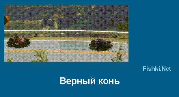 КОНЬ