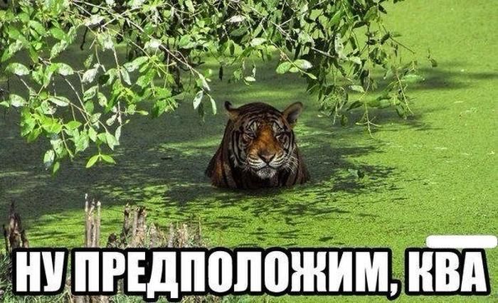 ква