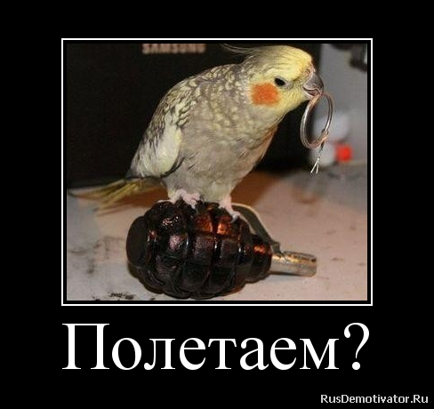 полетаем?