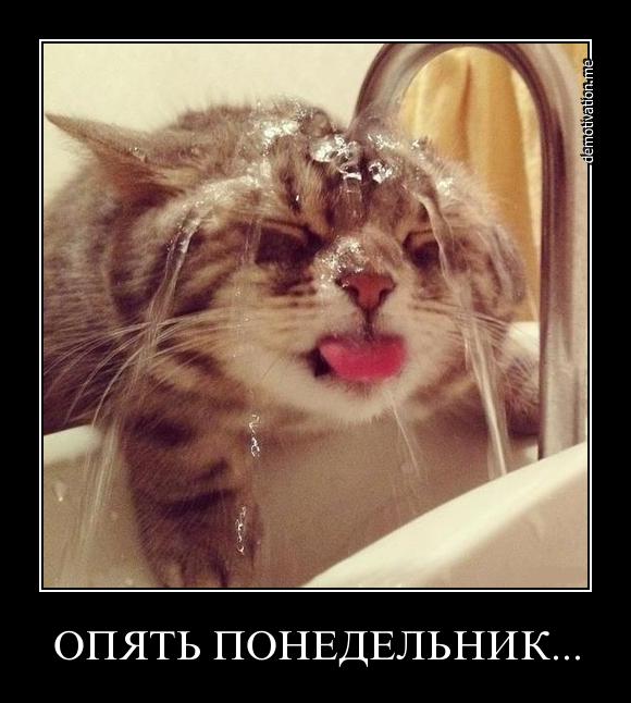 понедельник