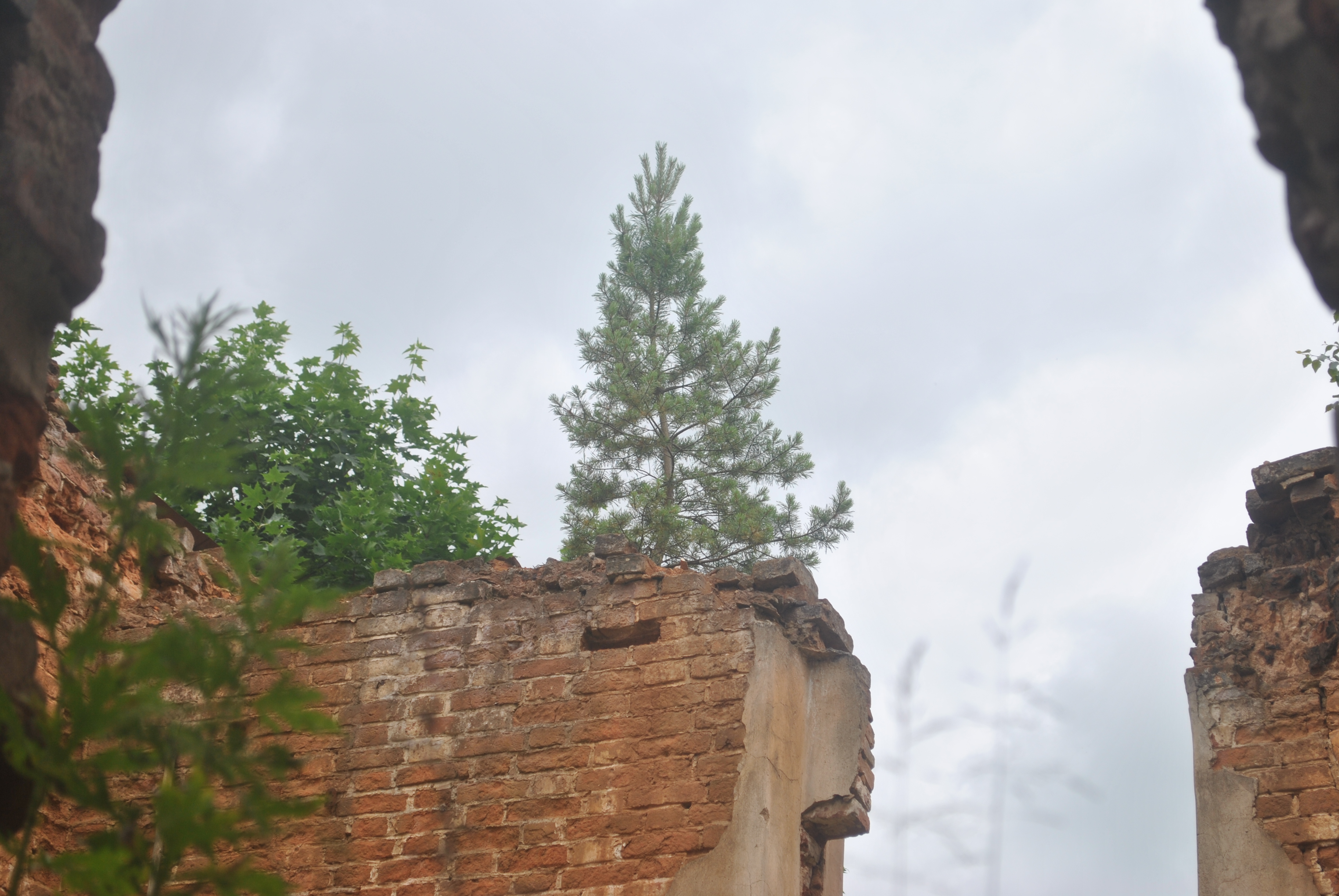 usadba-molodi0106.JPG