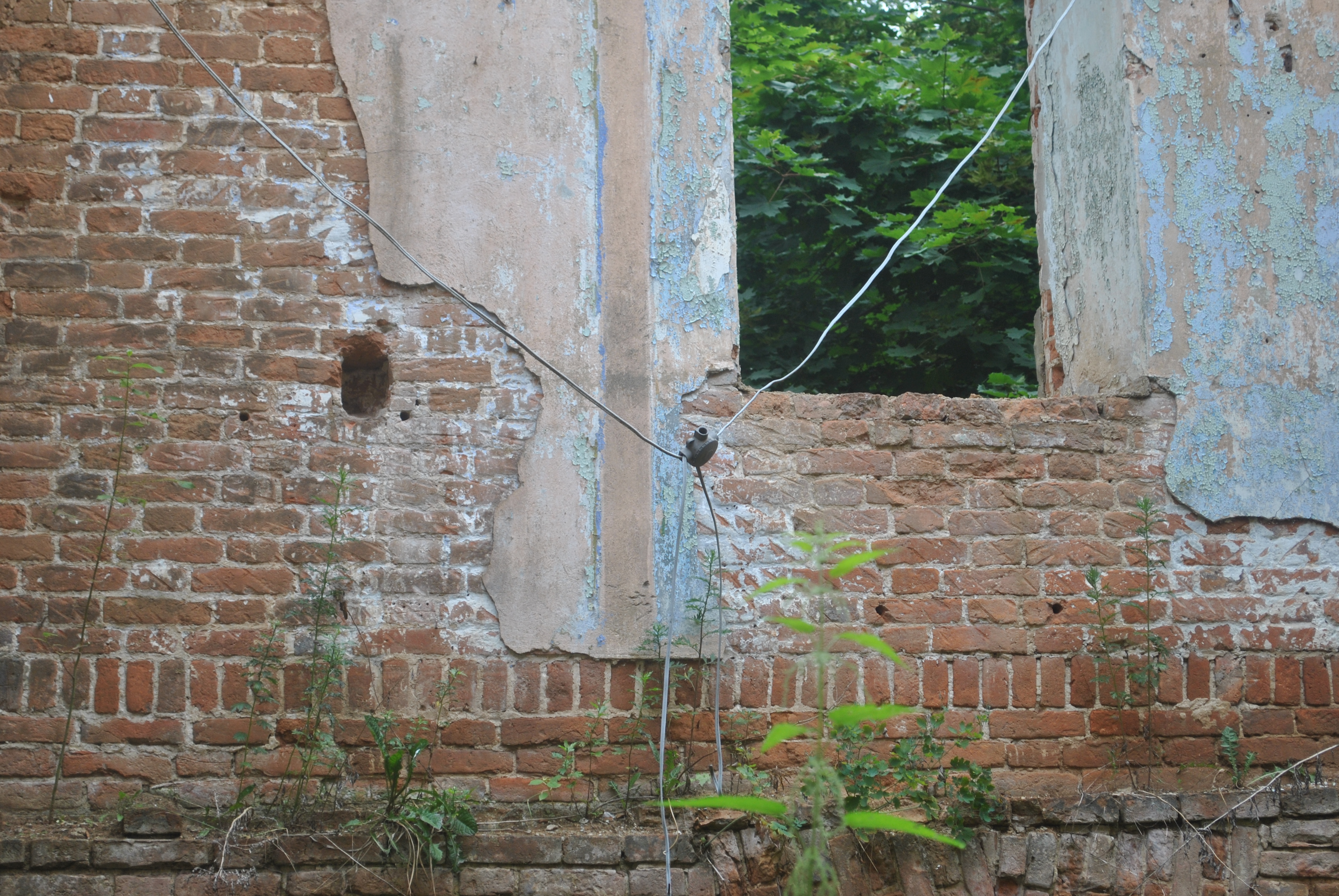 usadba-molodi0109.JPG