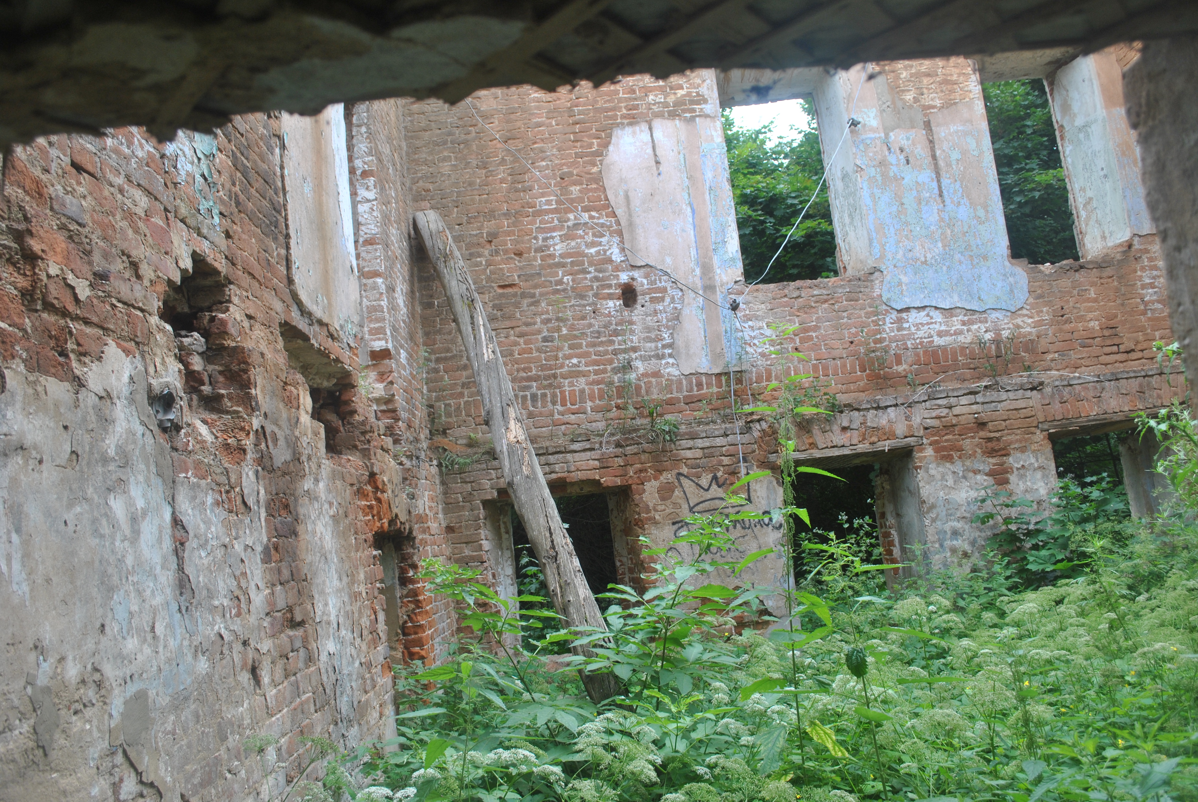 usadba-molodi0110.JPG